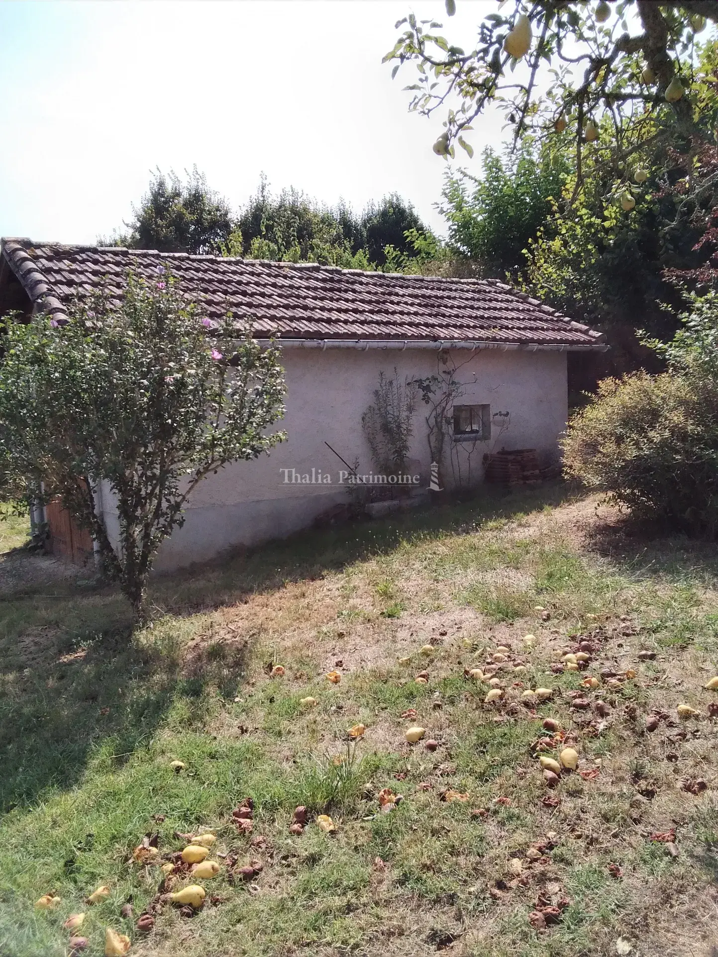 Maison chaleureuse avec jardin à Riberac 