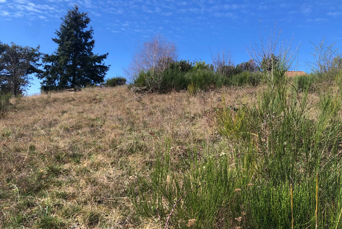 Terrain à vendre à Varennes - Chanonat avec vue panoramique 