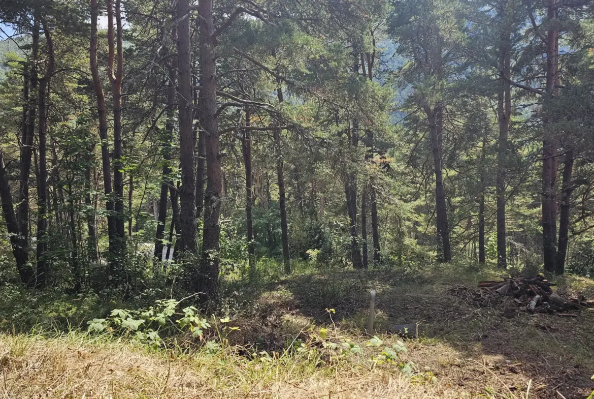 Terrain constructible de plus d'1 hectare à Caille, vue dégagée et exposition sud 