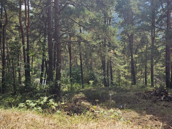 Terrain constructible de plus d'1 hectare à Caille, vue dégagée et exposition sud