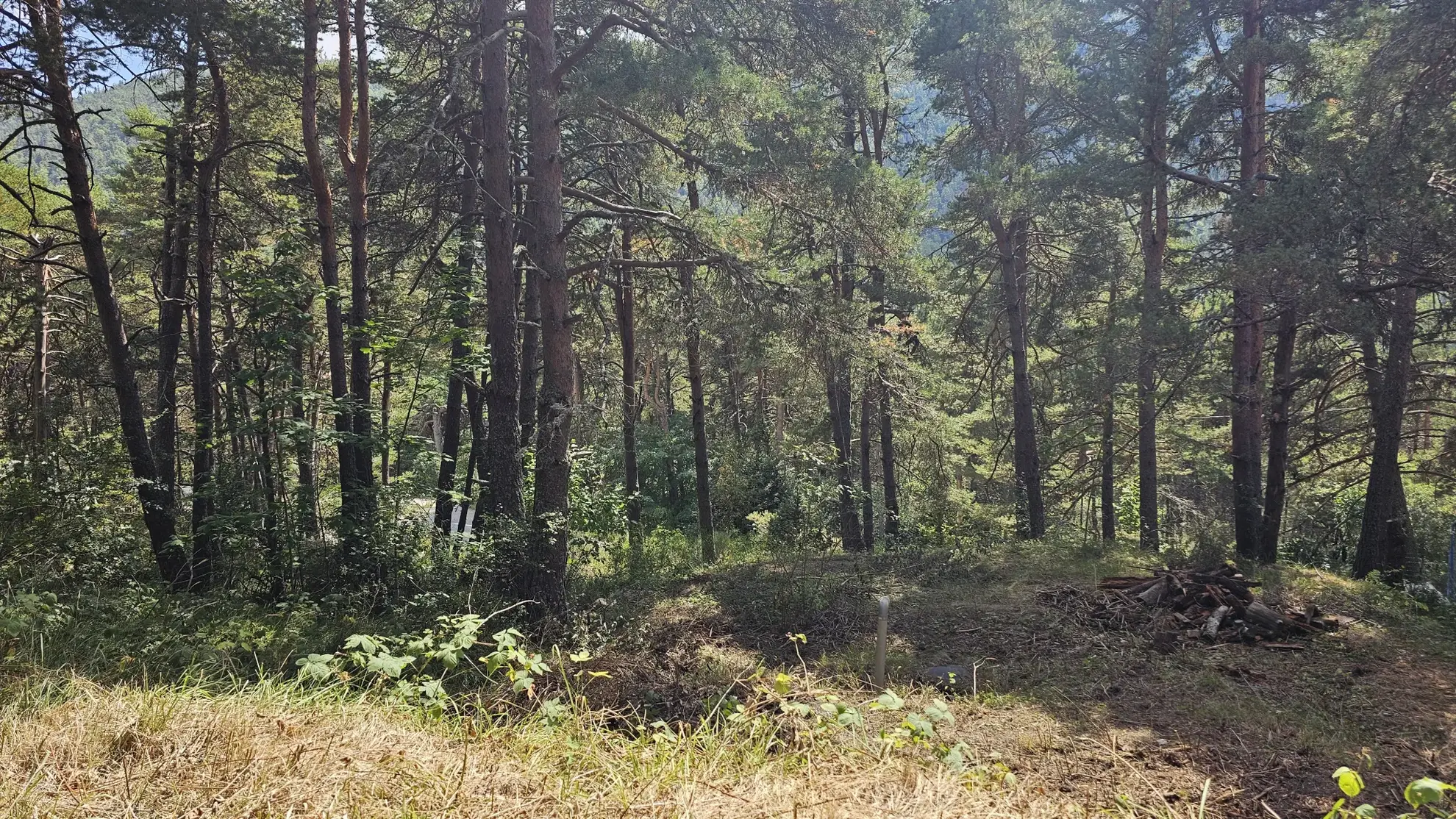 Terrain constructible de plus d'1 hectare à Caille, vue dégagée et exposition sud 