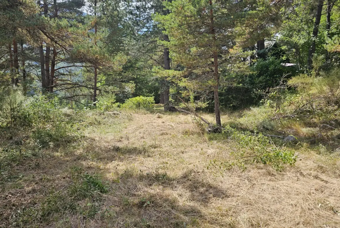 Terrain constructible de plus d'1 hectare à Caille, vue dégagée et exposition sud 