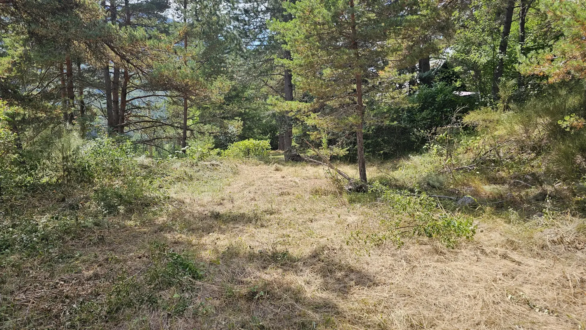 Terrain constructible de plus d'1 hectare à Caille, vue dégagée et exposition sud 