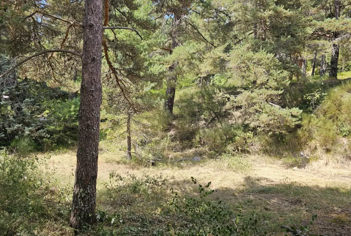 Terrain constructible de plus d'1 hectare à Caille, vue dégagée et exposition sud 