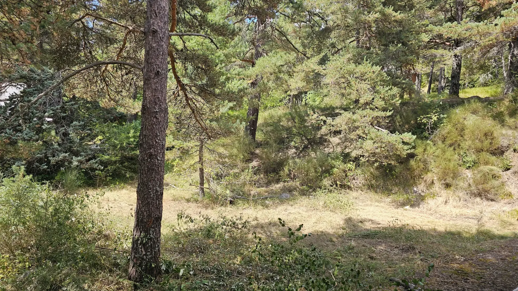 Terrain constructible de plus d'1 hectare à Caille, vue dégagée et exposition sud 