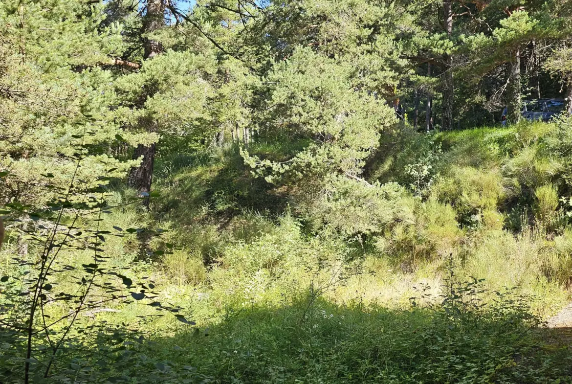 Terrain constructible de plus d'1 hectare à Caille, vue dégagée et exposition sud 