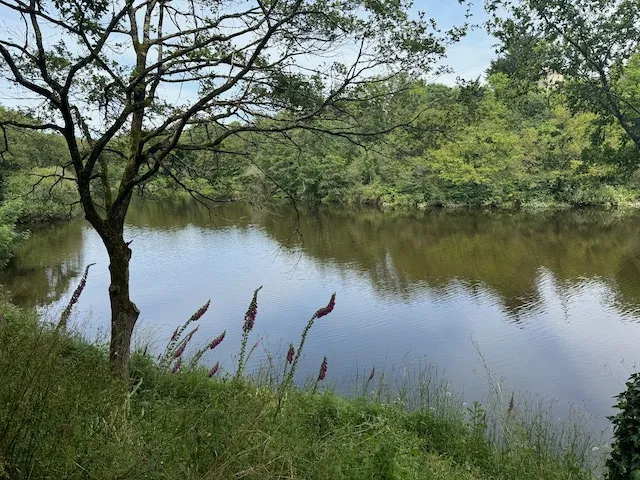 Terrain à bâtir avec vue exceptionnelle sur la rivière à Chateau-Guibert 