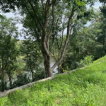 Terrain à bâtir avec vue exceptionnelle sur la rivière à Chateau-Guibert