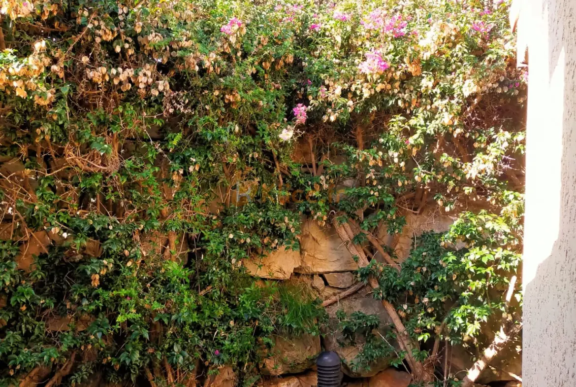 Studio Petite Maison avec Vue Mer à Vallauris 