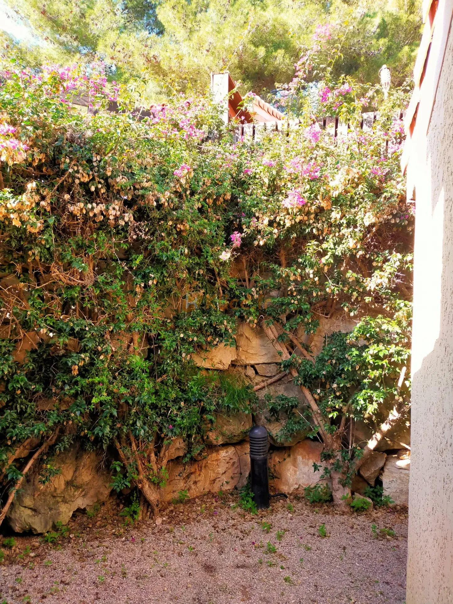 Studio Petite Maison avec Vue Mer à Vallauris 