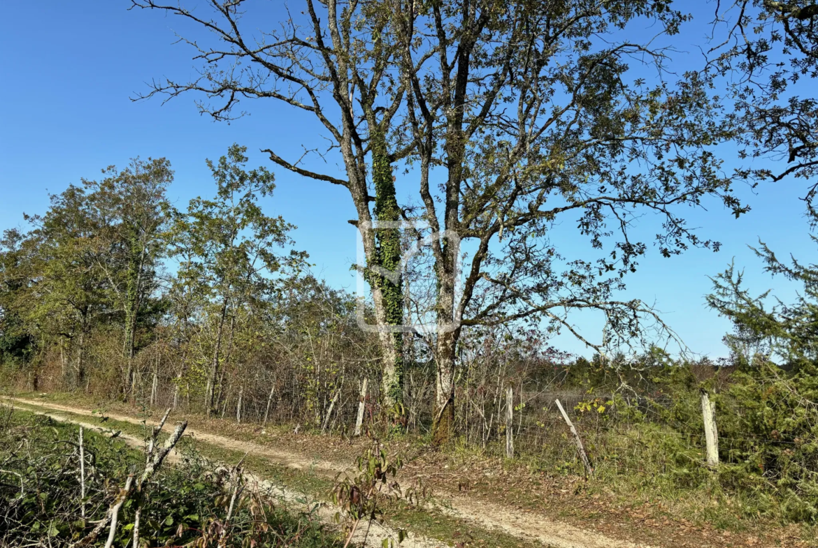 Terrain à bâtir de 3126 m² à Chavagnac - 30 000 EUR 