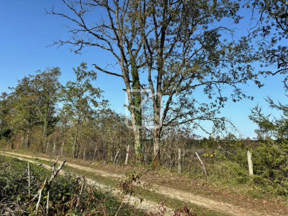 Terrain à bâtir de 3126 m² à Chavagnac - 30 000 EUR