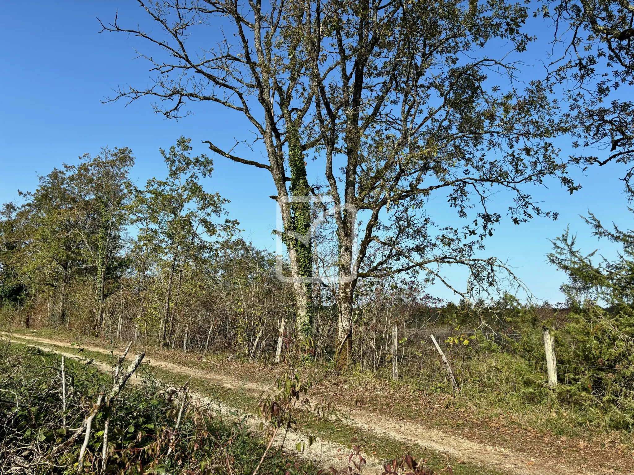 Terrain à bâtir de 3126 m² à Chavagnac - 30 000 EUR 