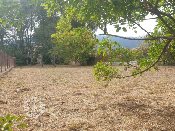 Terrain à bâtir atypique à Sorède avec vue sur les Albères