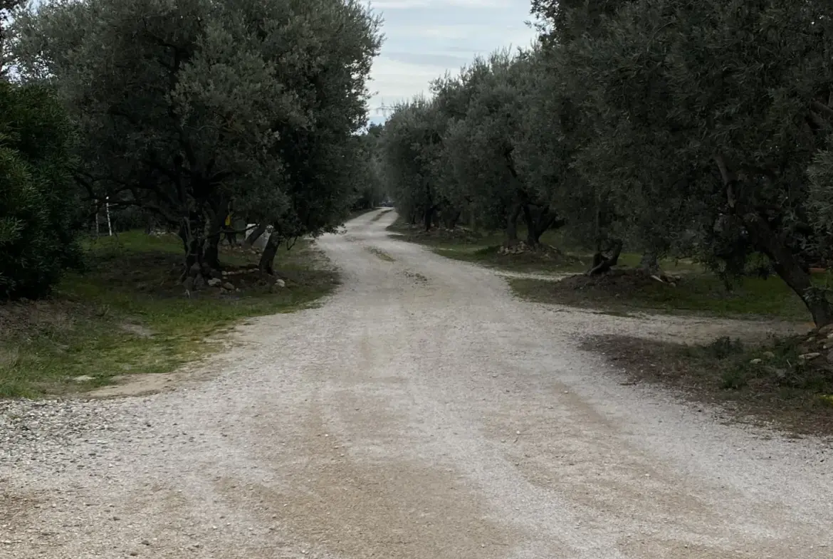 Terrain Constructible à Châteauneuf de Gadagne - 394 m² 