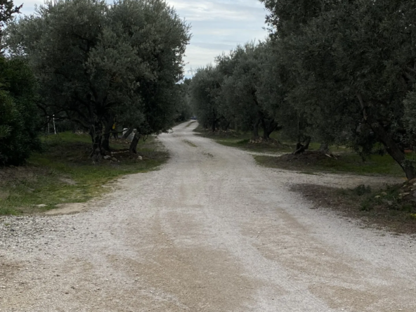 Terrain Constructible à Châteauneuf de Gadagne - 394 m²