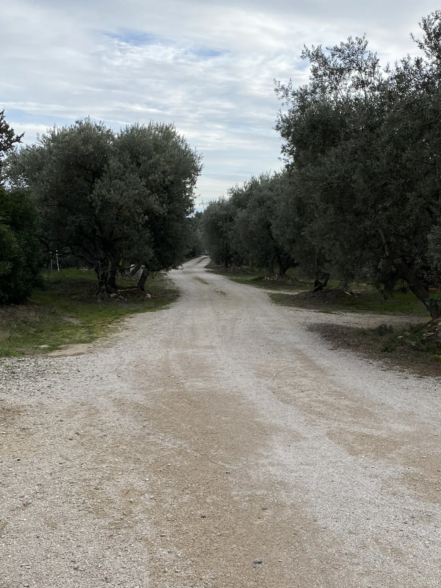 Terrain Constructible à Châteauneuf de Gadagne - 394 m² 