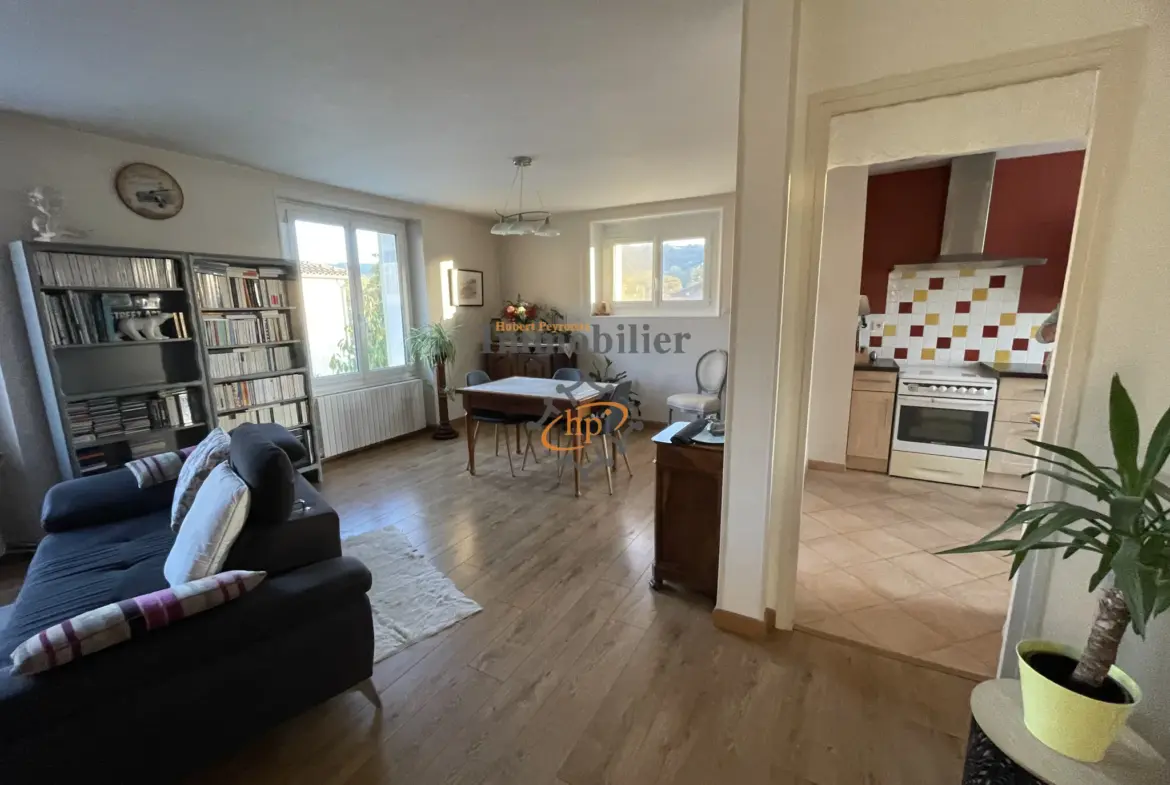 Maison rénovée à vendre avec jardin de 340 m2 à St Affrique 