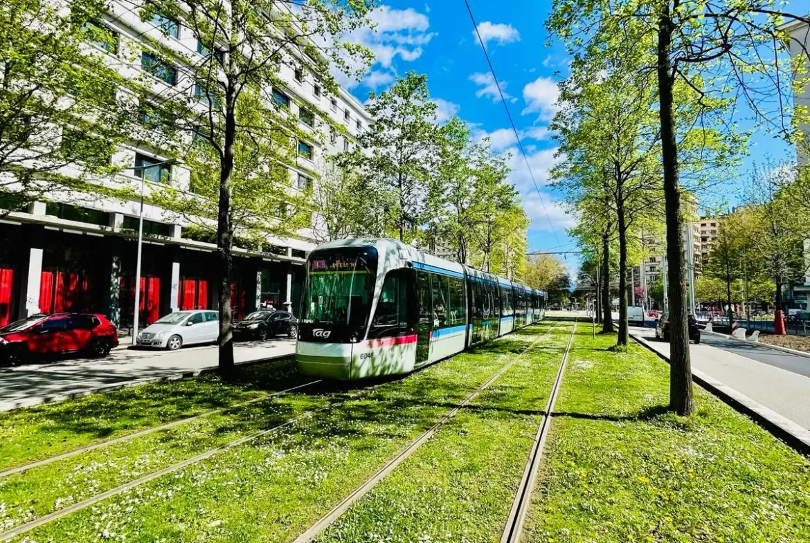 Grenoble T3 Refait à Neuf - Idéal Premier Achat ou Investissement 