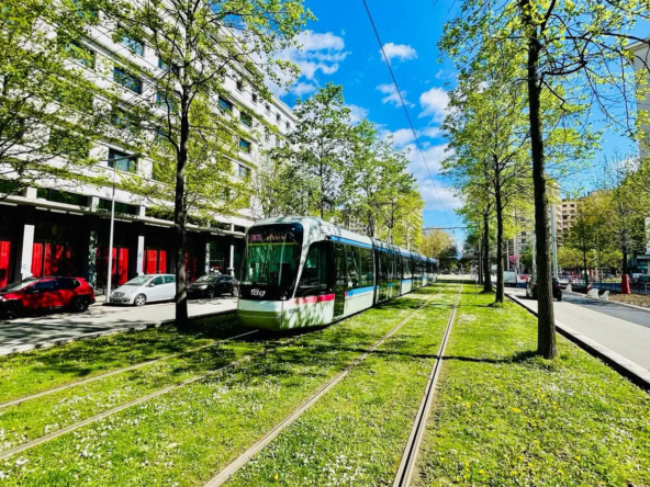 Grenoble T3 Refait à Neuf - Idéal Premier Achat ou Investissement