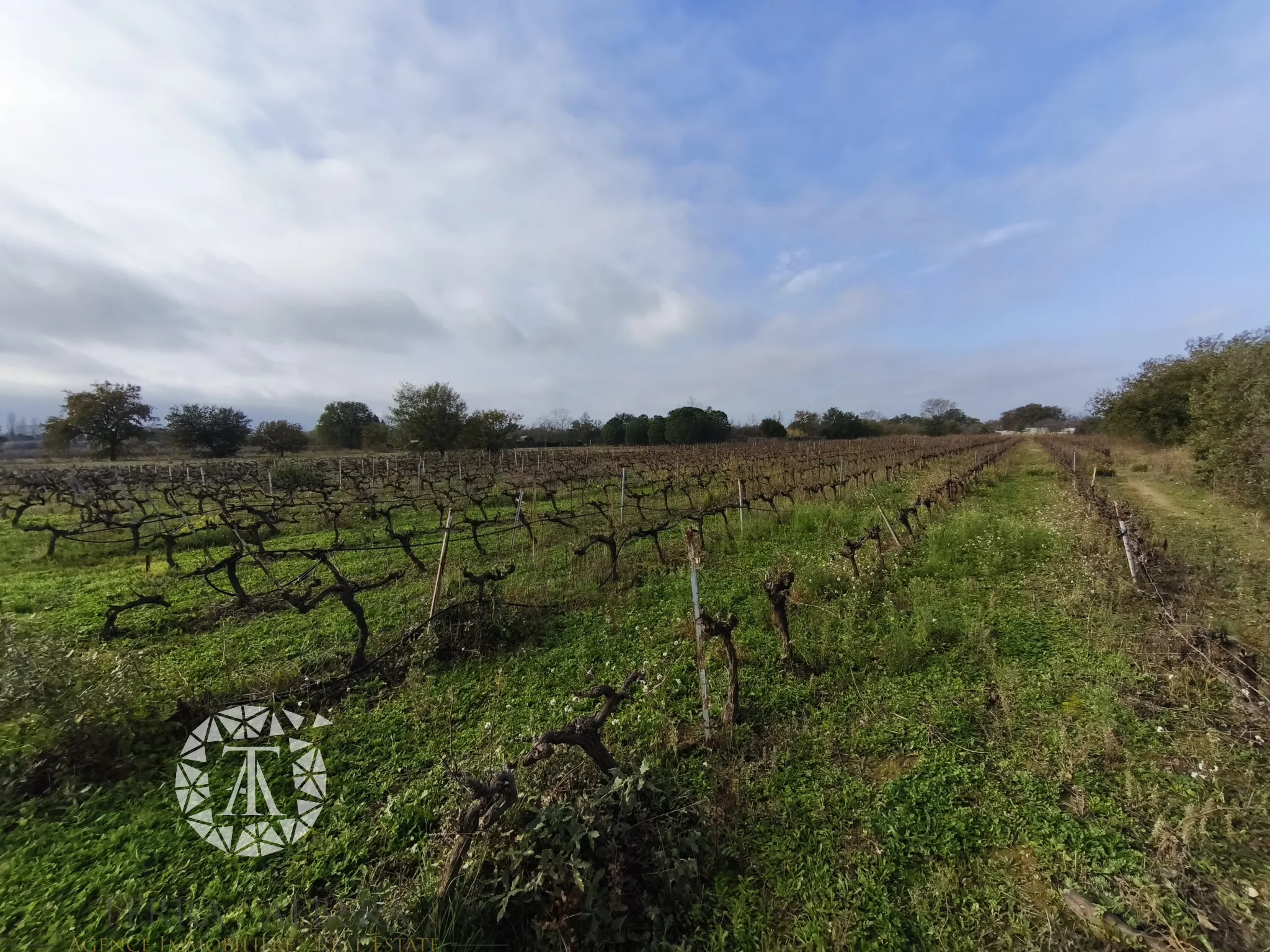 Terrain non constructible de 9255 m² à Villelongue dels Monts 