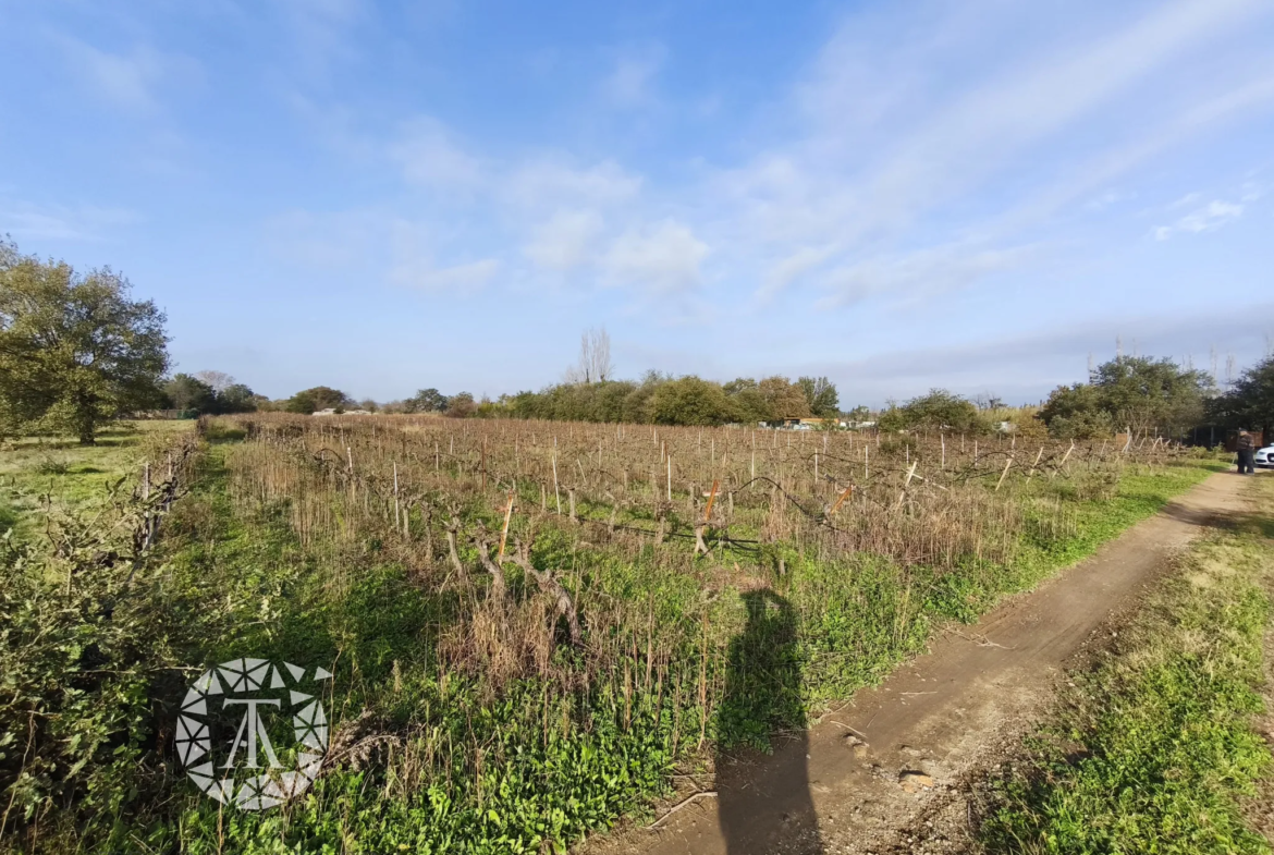 Terrain non constructible de 9255 m² à Villelongue dels Monts 