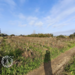 Terrain non constructible de 9255 m² à Villelongue dels Monts