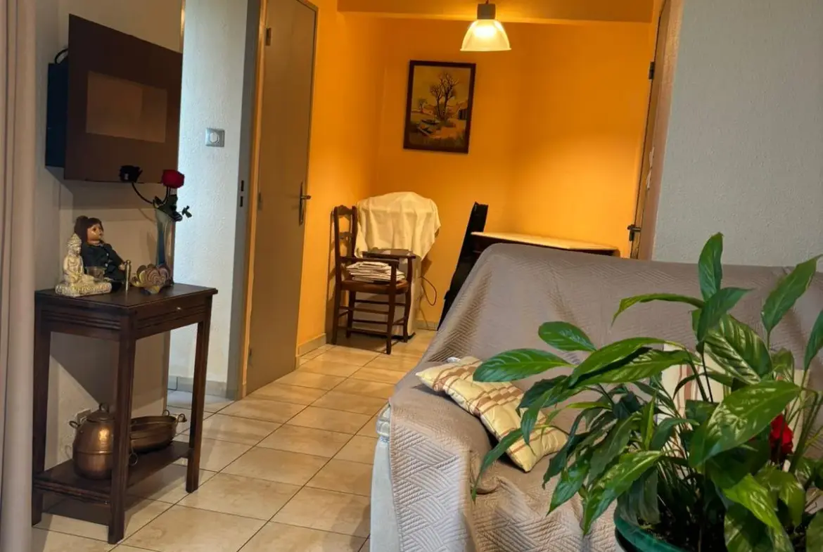 À vendre : Appartement T2 de 44 m² à Grenoble, parfait état, 88 000 € FAI 