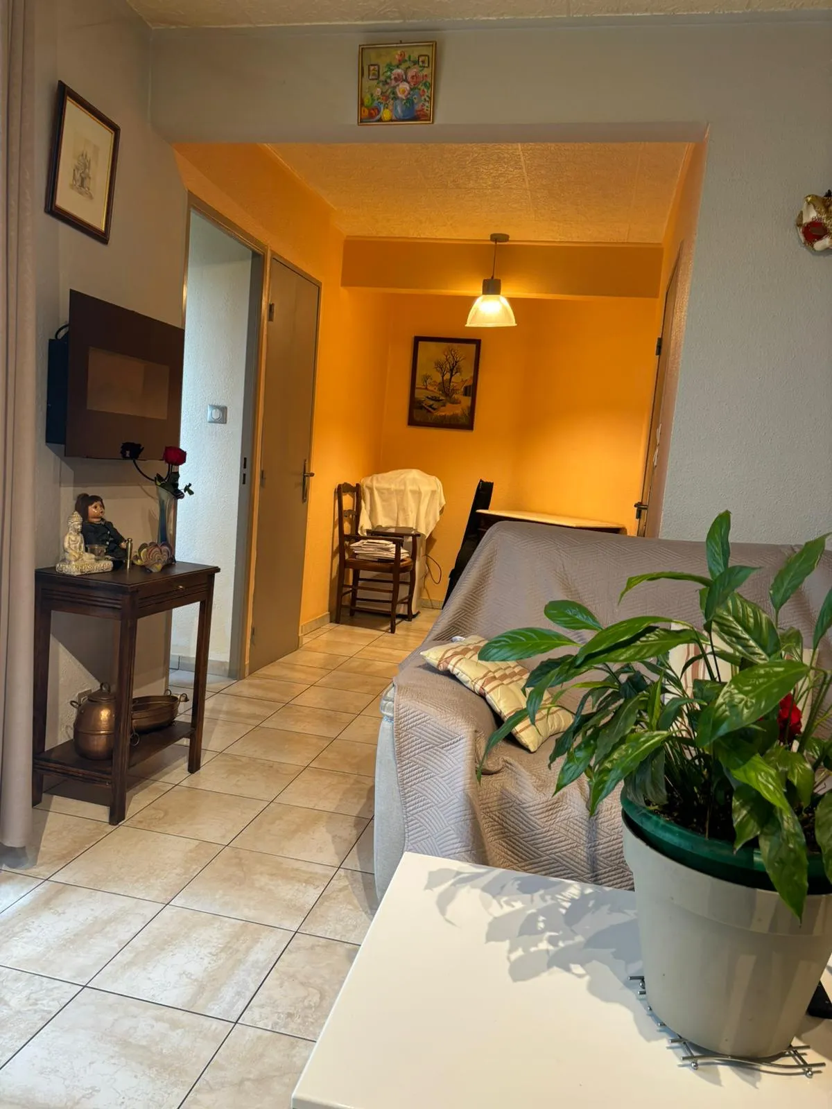 À vendre : Appartement T2 de 44 m² à Grenoble, parfait état, 88 000 € FAI 