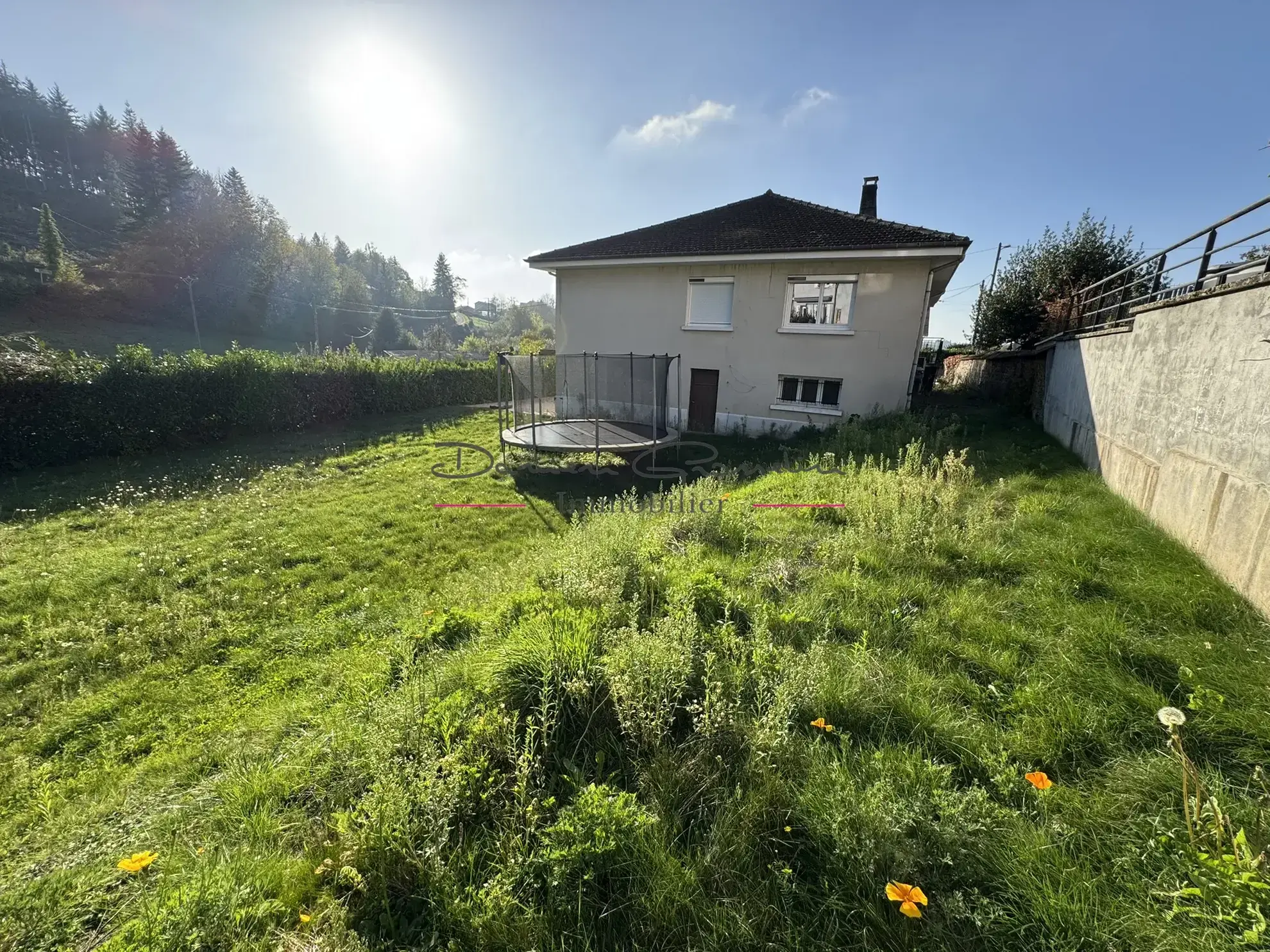 Maison familiale à vendre à Cours-la-Ville avec jardin et confort moderne 