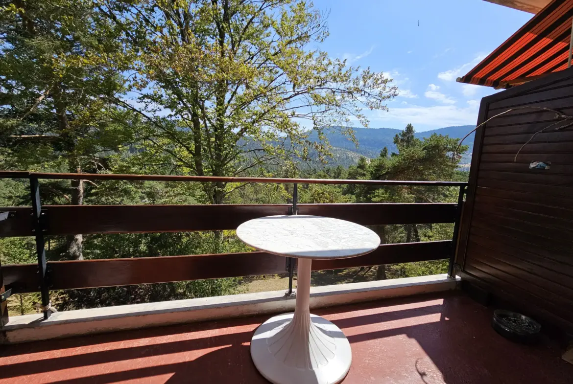 Appartement lumineux avec terrasse plein sud à Andon 