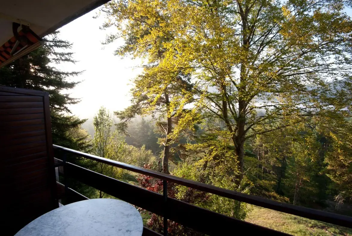 Appartement lumineux avec terrasse plein sud à Andon 