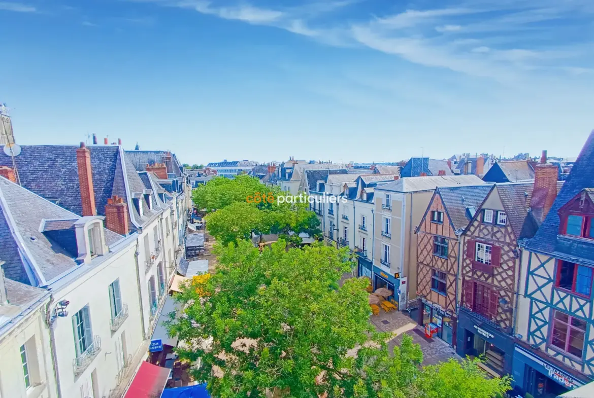 Appartement rénové au cœur de Tours - 4 chambres 