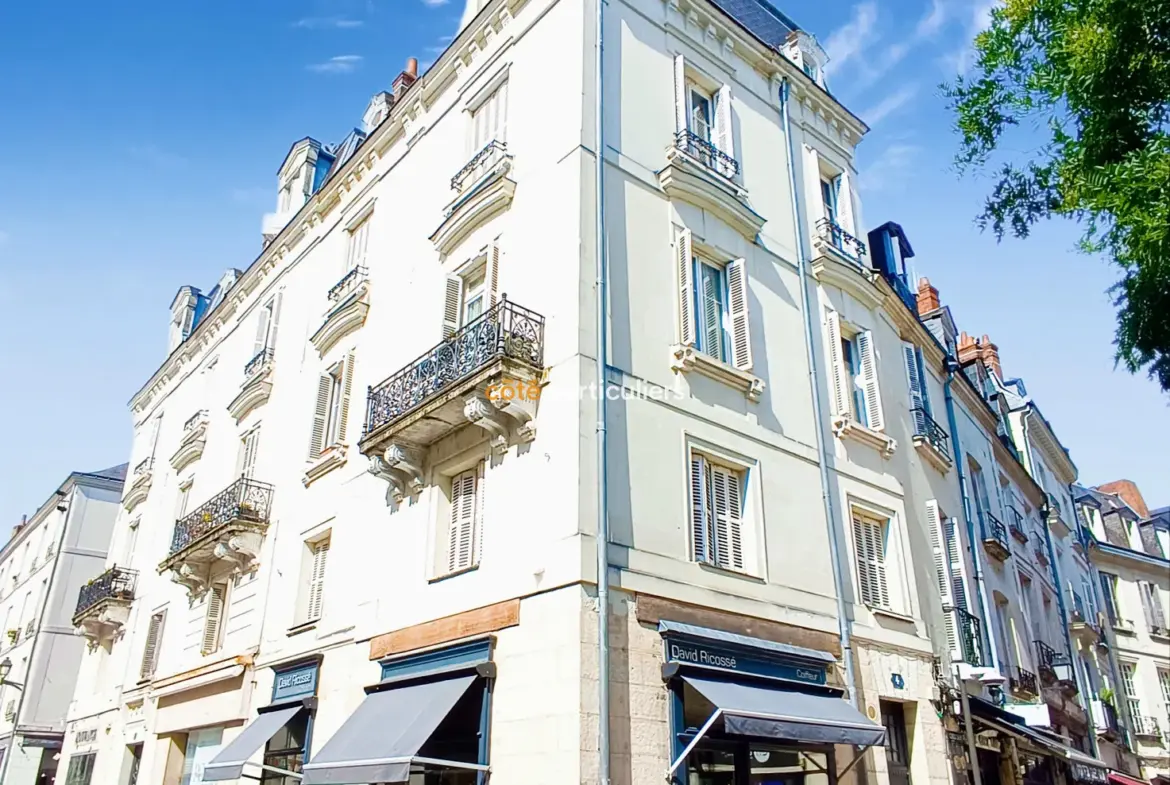 Appartement rénové au cœur de Tours - 4 chambres 