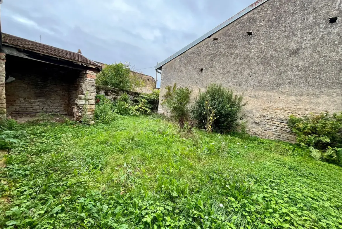 Maison mitoyenne 3 chambres avec jardin à vendre à Marnay 