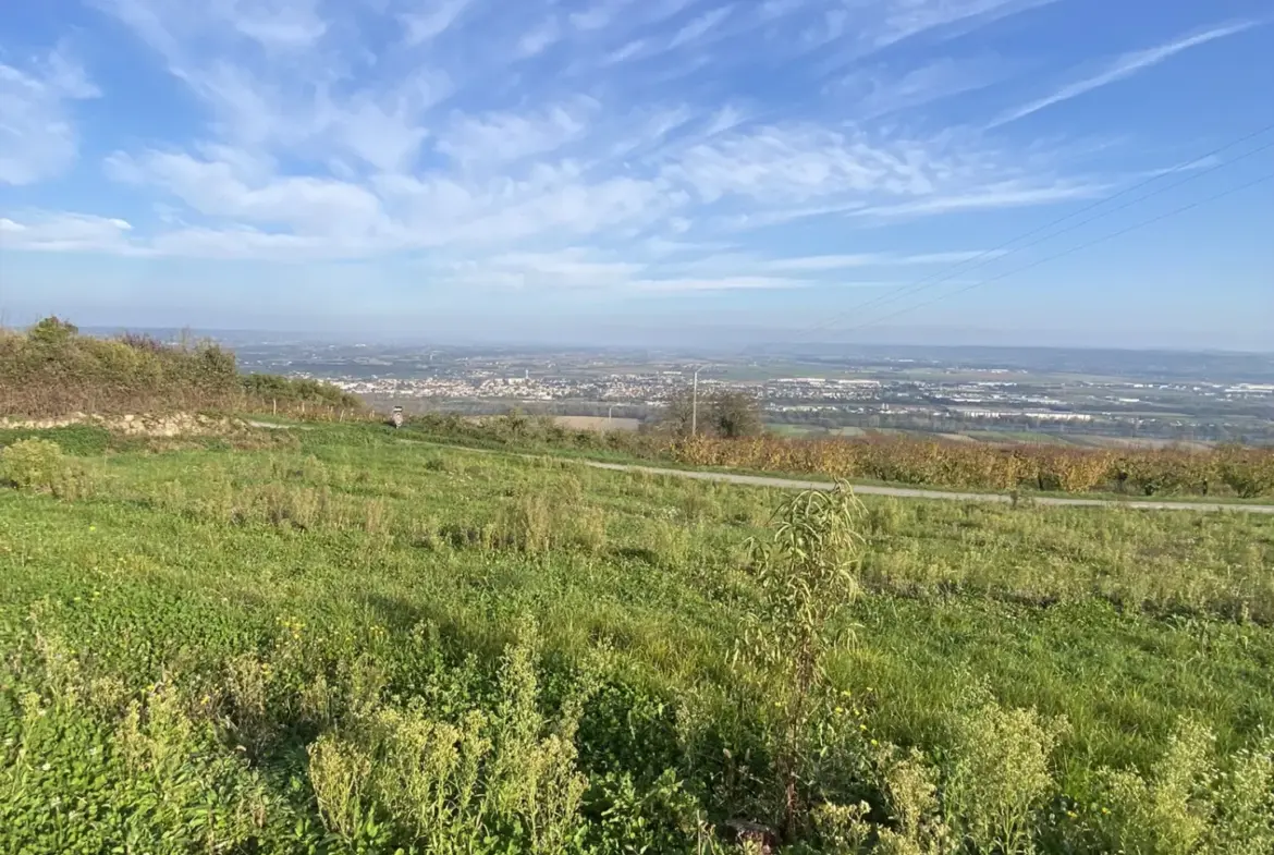 Terrain constructible de 1190 m2 à Bogy, Vallée du Rhône 