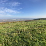 Terrain constructible de 1190 m2 à Bogy, Vallée du Rhône