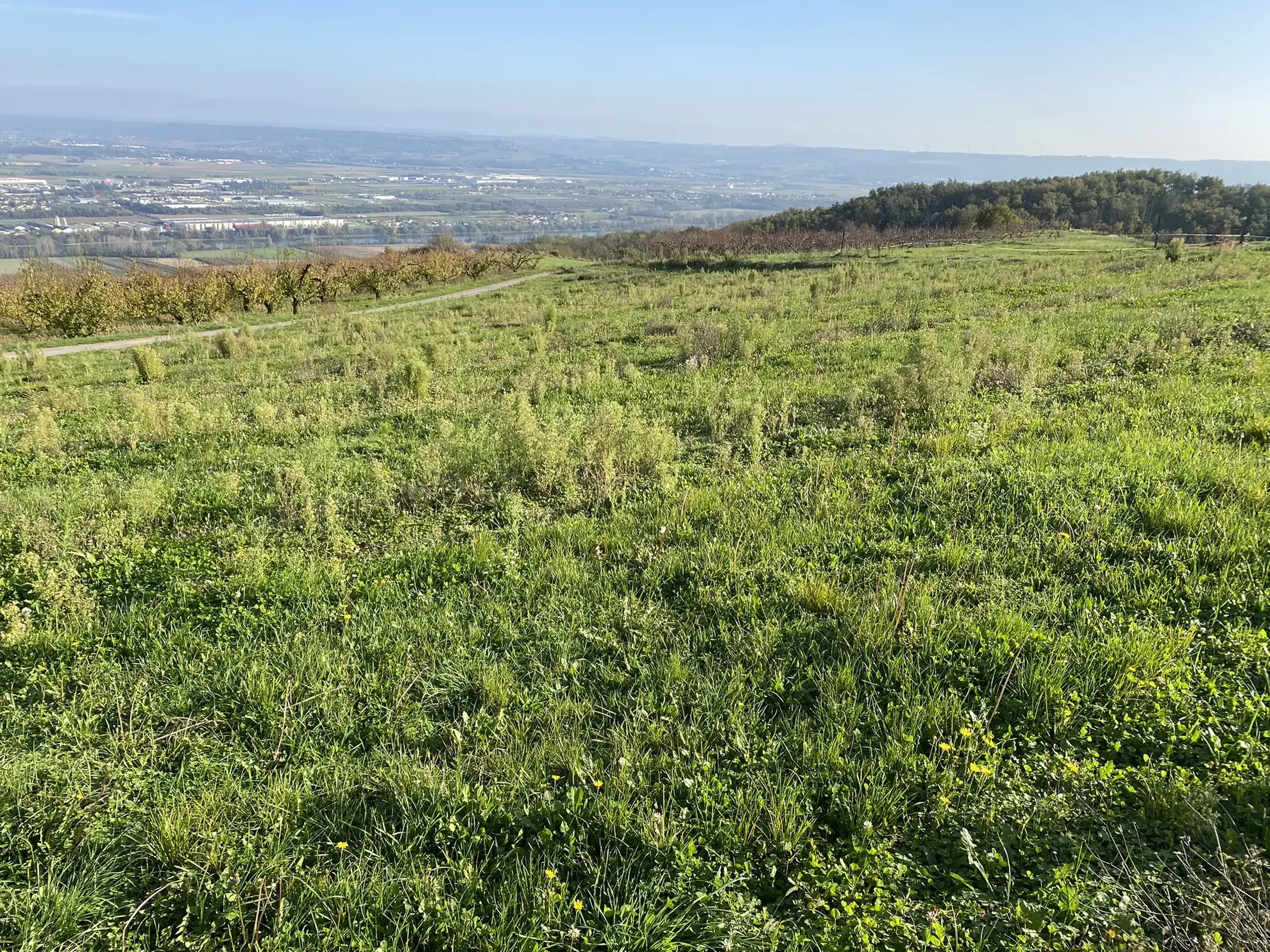 Terrain constructible de 1190 m2 à Bogy, Vallée du Rhône 