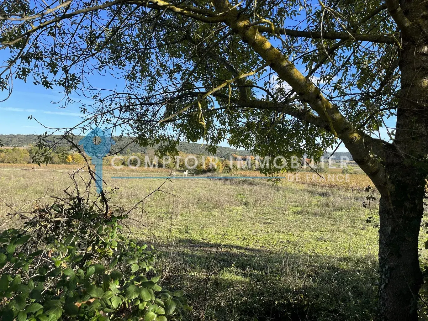 À Vendre : Terrain à Bâtir 1072 m² Entre Uzès et Nîmes 