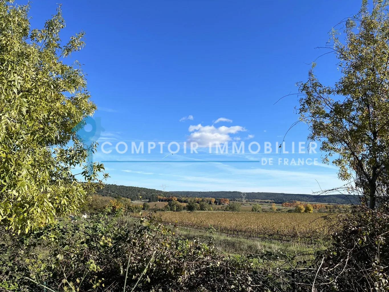 À Vendre : Terrain à Bâtir 1072 m² Entre Uzès et Nîmes 