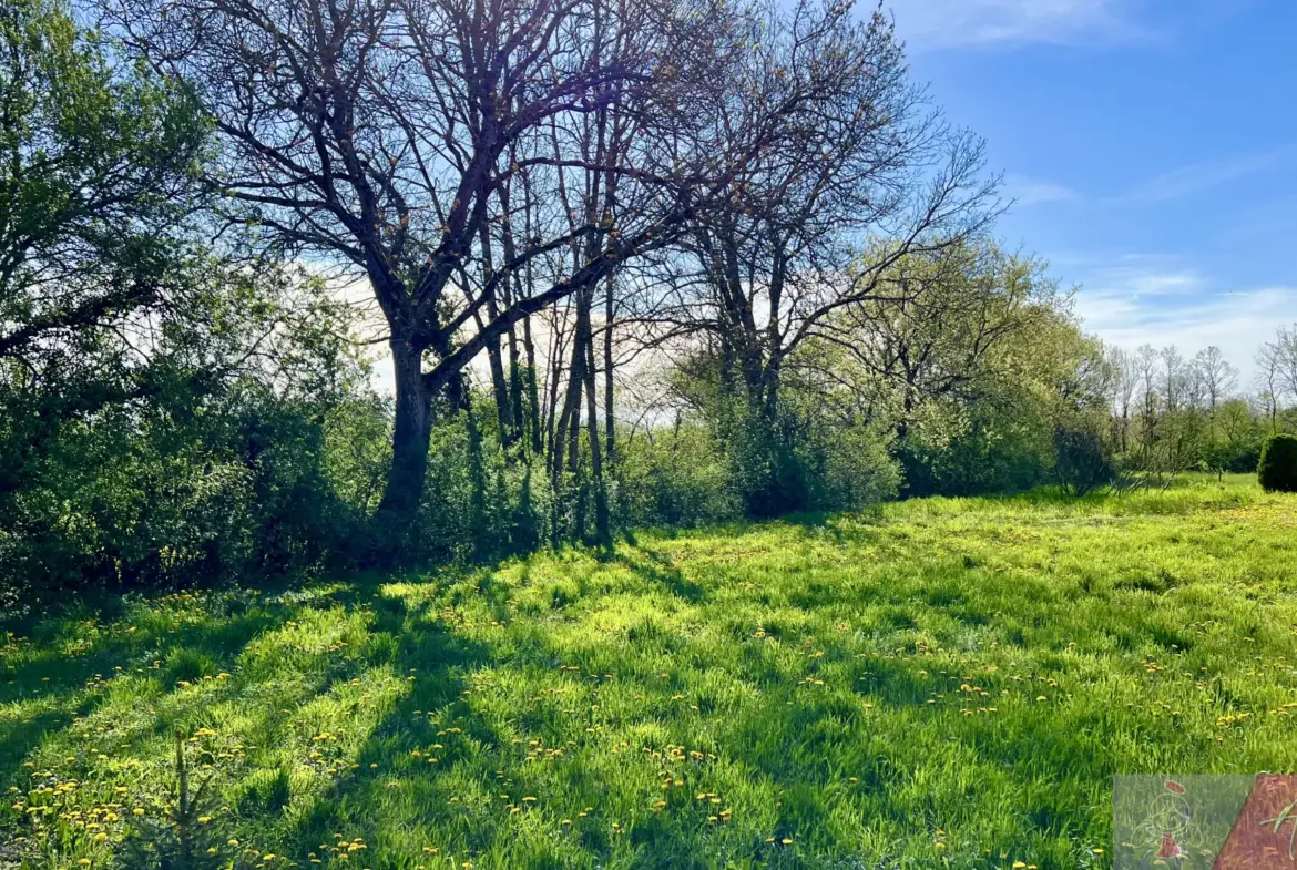 Maison de caractère à vendre à Belmont – 171 m² 