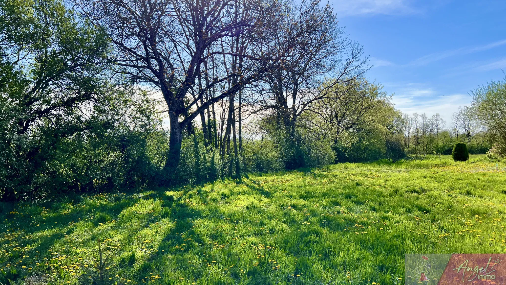 Maison de caractère à vendre à Belmont – 171 m² 