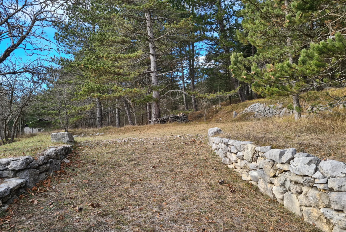 Charmante bergerie rénovée à Caussols sur 1 hectare 