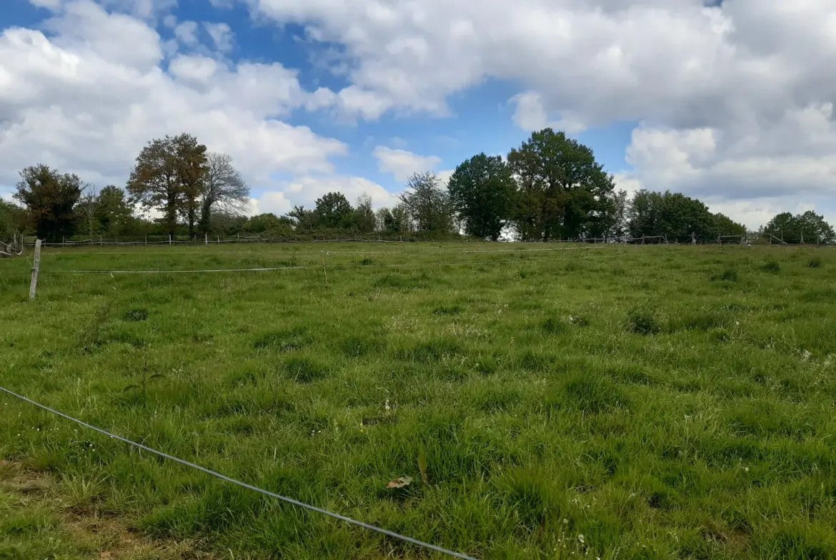 Maison de plain-pied à vendre à Lavergne - 4 pièces sur 1 hectare 