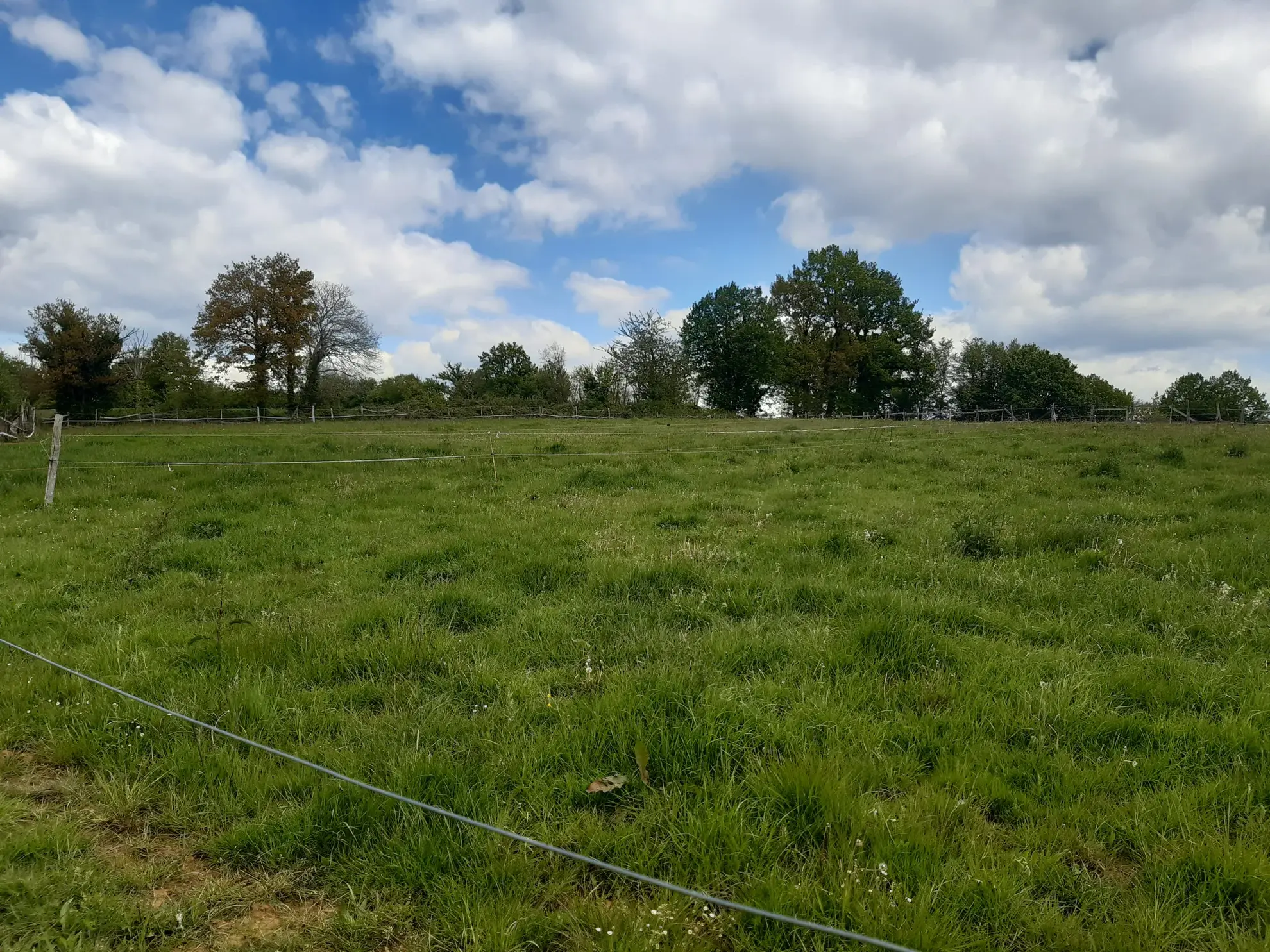 Maison de plain-pied à vendre à Lavergne - 4 pièces sur 1 hectare 