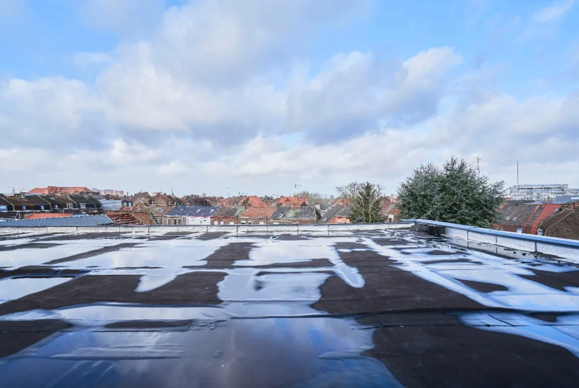 Bel appartement loft de 149 m2 à Roubaix avec terrasse de 90 m2 