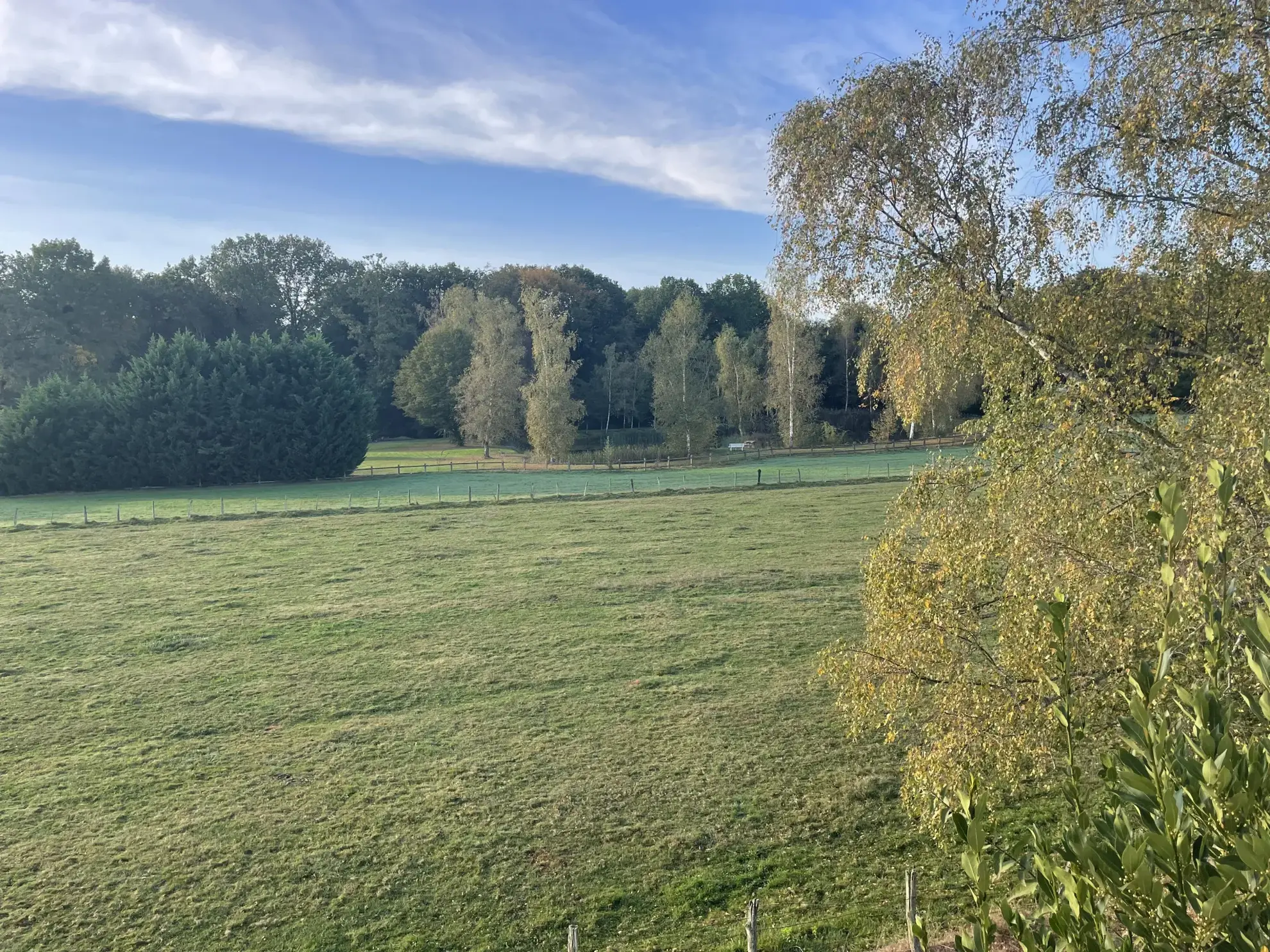 Maison à vendre à Chaumergy avec terrain arboré et dépendance 