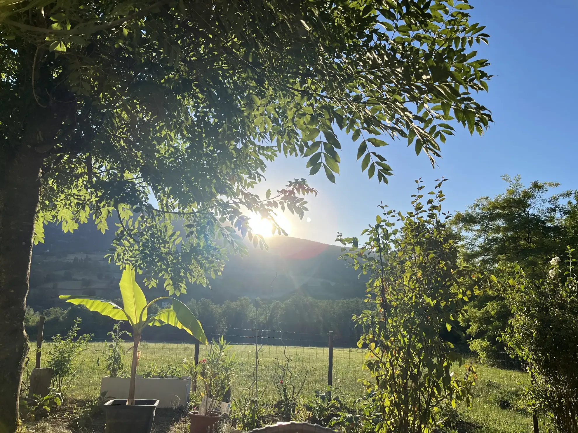 Vente Appartement 67 m² à Saint Jean en Royans avec Jardin Privatif et Vue sur le Vercors 