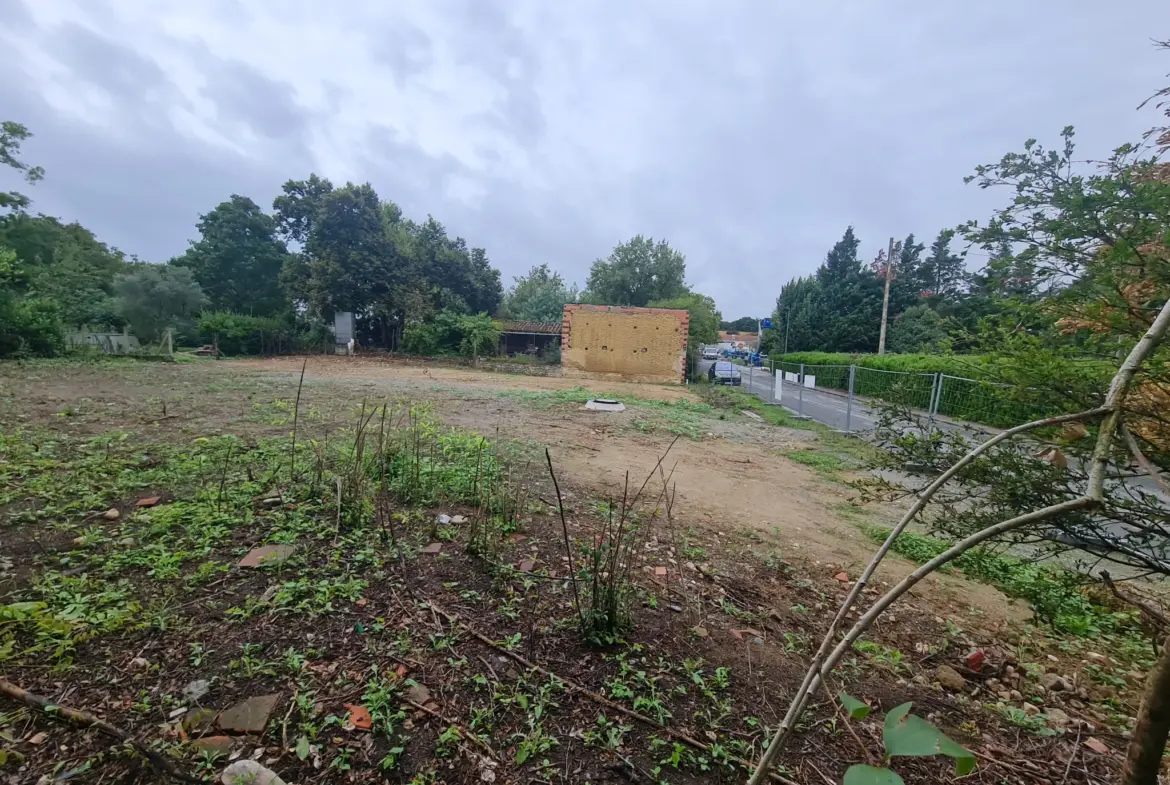 Terrain constructible de 1487 m² à vendre à Saint Sulpice sur Lèze 