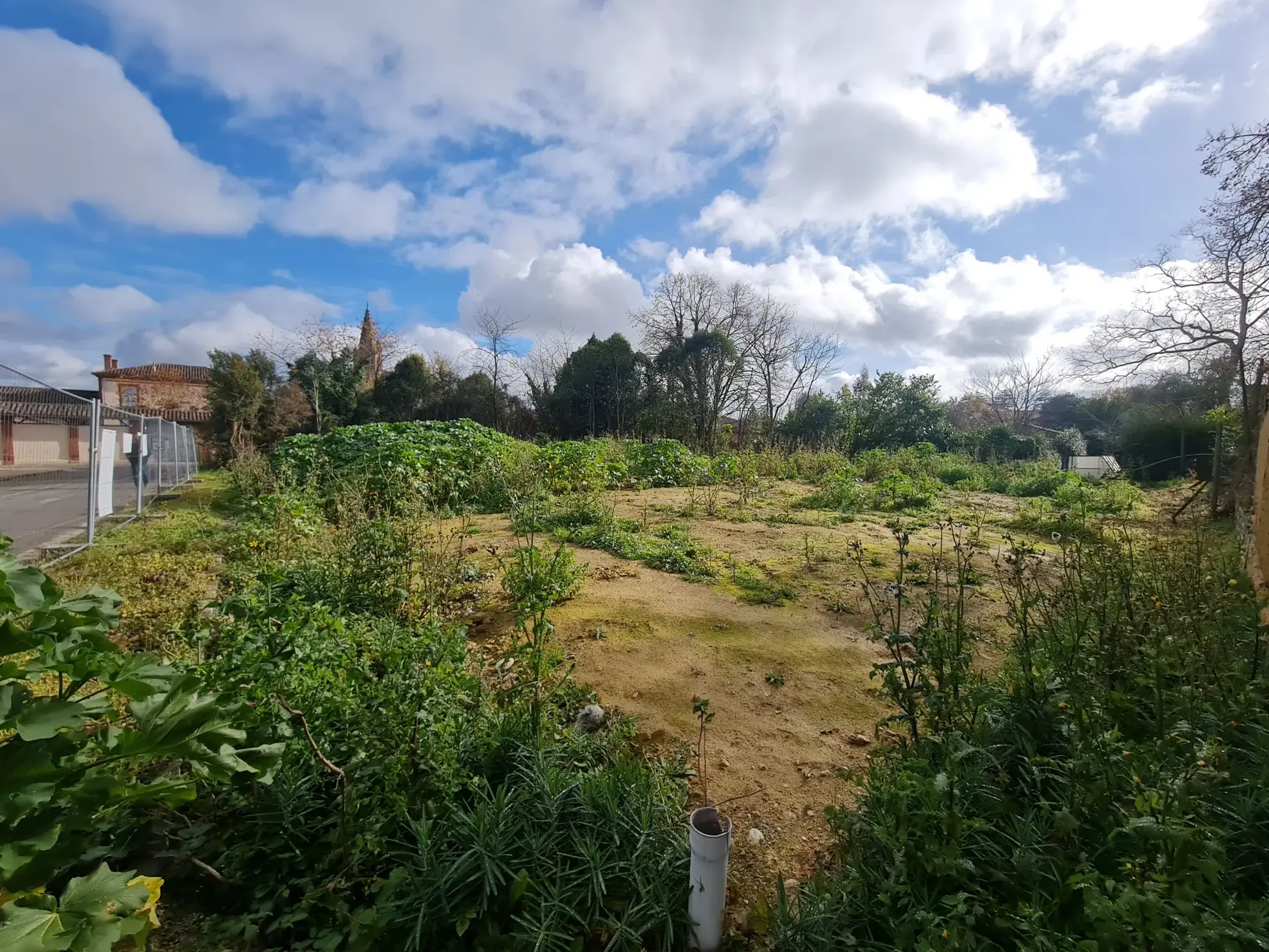 Terrain constructible de 1487 m² à vendre à Saint Sulpice sur Lèze 